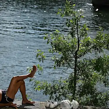 France pledges €500 million for urban vegetation as heatwave descends