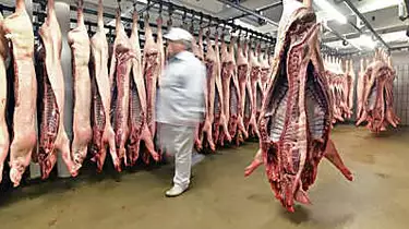 Πώς θα μπορούσε η βιομηχανία κρέατος να γίνει το νέο hotspot της Corona