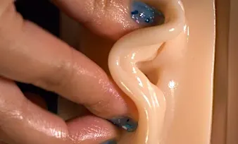 Brain Surgeon: "Tinnitus is Not From Low Vitamin B. Meet the Real Enemy of Tinnitus"