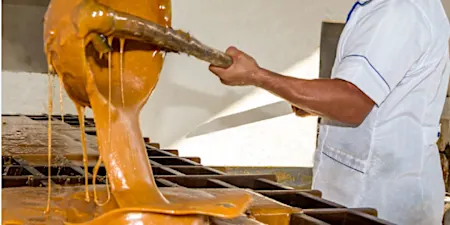 Alerta sobre proyecto para elaborar producto parecido a la panela