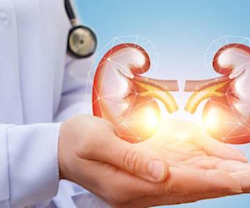 Kidney Cancer: 10 Most Common Symptoms Kidney Cancer: 10 Most Common Symptoms
