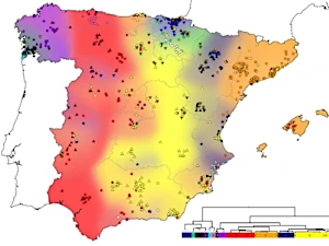 La genética desmonta los 'países catalanes': los valencianos, más próximos a los aragoneses La genética desmonta los 'países catalanes': los valencianos, más próximos a los aragoneses