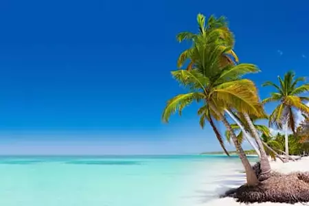 Spring Break in Punta Cana Spring Break in Punta Cana