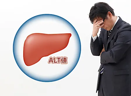 肝機能が気になり始めた中高年世代のための肝臓ケア