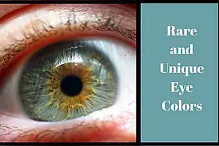 6 Rare and Unique Eye Colors
