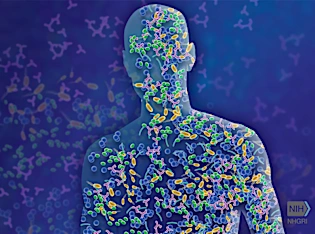 Your Microbiome is an 'Essential Organ’