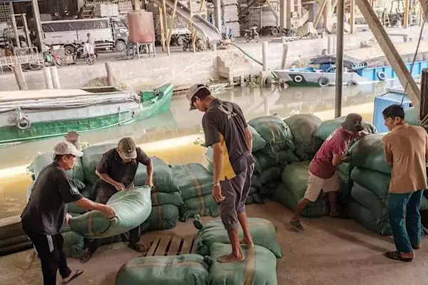 Thai and Vietnamese farmers may stop planting rice because of the Iran war. Here’s why
