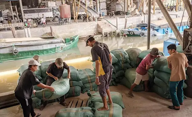 Thai and Vietnamese farmers may stop planting rice because of the Iran war. Here’s why