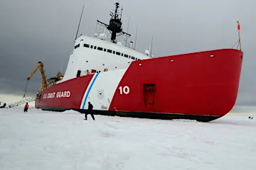 Polar Bear Claws for Help – See the Amazing Rescue