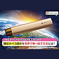 【売上世界一】ギネス世界記録保有企業が遂に開発成功