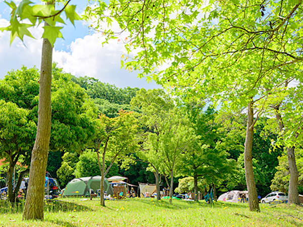 キャンプにオススメのSUVとは?