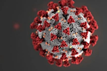 Arizona reports more than 2,000 coronavirus cases in 24 hours, first time since August