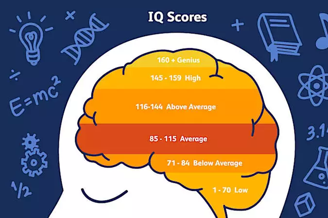 Your IQ Is 140 If You Can Answer 10 Of These Questions Correctly