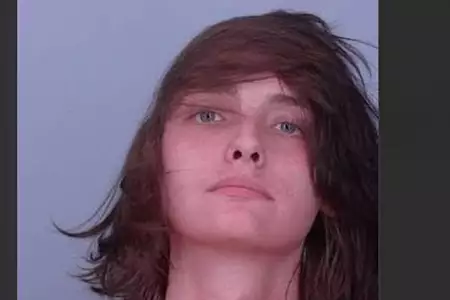 Montrose man fleeing police while high pleads guilty to causing fatal crash