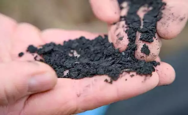 What is biochar and how can it help with decarbonization?