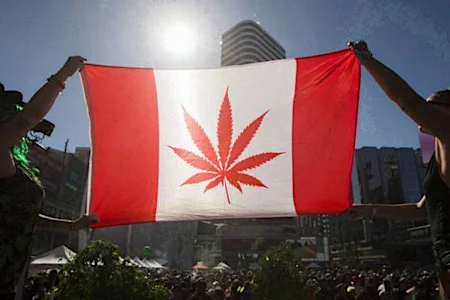 Canadá aprova legalização do uso recreativo da maconha