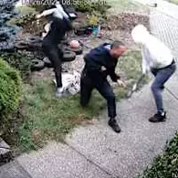 卑詩省皮特梅多斯一家遭遇殘忍襲擊，全家逃離加拿大 | Globalnews.ca