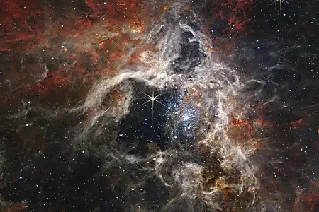 NASA: Το «Νεφέλωμα Ταραντούλα» κατέγραψε το τηλεσκόπιο James Webb