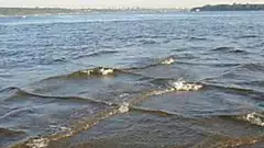 [Warning Photos] If You See Square Waves In The Ocean, Get Out Of The Water Immediately