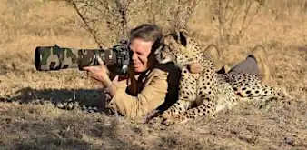 [Photos] Curious Animals Approach Unsuspecting Cameramen