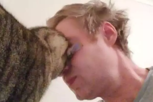 [Story] Cats That Headbutt Their Owners Are Actually Trying To Give Them An Important Message