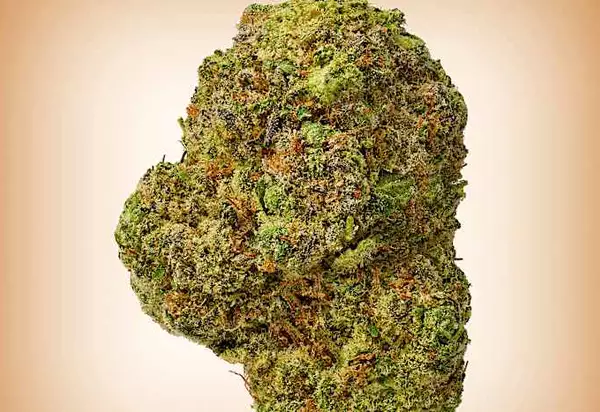 Buying Tangie Online Is Now Legal, And Incredibly Convenient