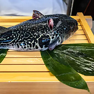 «Τυχερή τίγρη»: Οι ψαράδες της Φουκουσίμα εναποθέτουν τις ελπίδες τους στα ψάρια