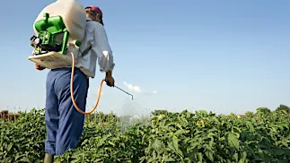 Overnight Energy: US bans use of pesticide tied to health problems in children