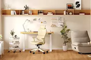 FlexiSpot 的人體工學家具是任何家庭辦公室的必備品