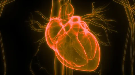 How hacking the human heart could replace pill popping