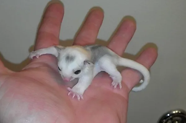 [Photos] Man Finds Tiny Creature In Backyard - Youll Never Believe What It Grew Into