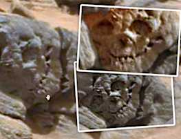 Life on Mars: 'Fossilised skull' found on Red Planet evidence of ancient alien UFOs?