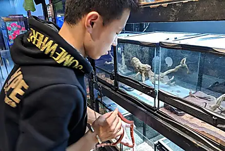 Το παράνομο εμπόριο άγριων ζώων δημιουργεί online κατάστημα στην Κίνα