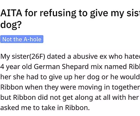 Woman Gives Dog To Her Sister Due To Her Partner, Wants The Dog Back After 4 Years