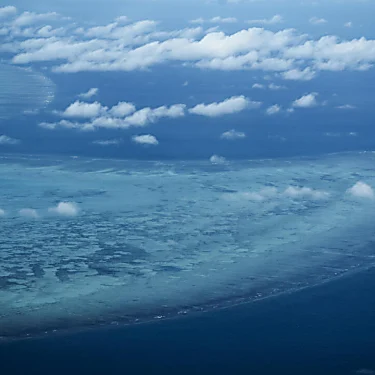 Οι θερμότεροι ωκεανοί στην ιστορία προκαλούν μαζική λεύκανση των κοραλλιών του κόσμου