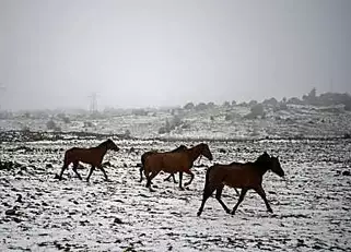 Winter storm Elpis heads to Israel, after battering Greece, Turkey