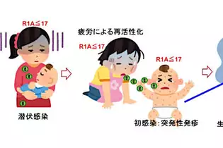 うつ病になりやすい体質が遺伝する仕組み、慈恵医大が解明