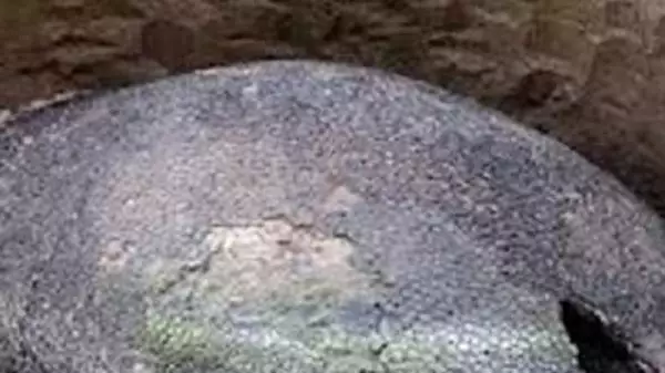 Fazendeiros Descobrem um Mistério de 2 Toneladas em seus Terrenos