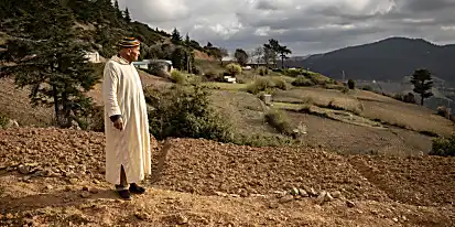 Το Μαρόκο κοιτάζει σε φυτά χασίς χωρίς φόβο