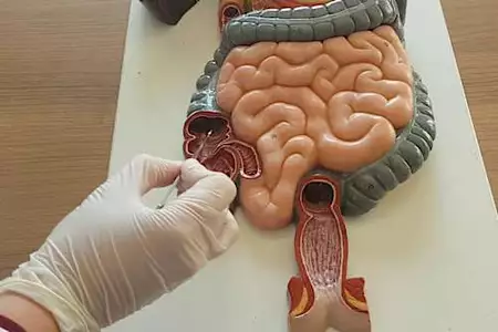 Este sencillo truco te ayudará a vaciar tus intestinos cada día
