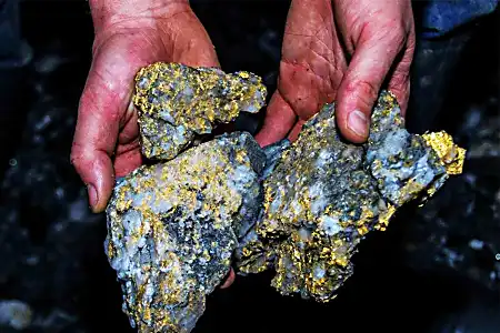 [Pics] Man Kept "Gold Rock" For Years Before Scientists Told Him The Truth
