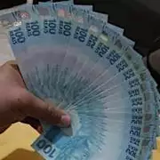 Calcule quanto você poderia ganhar investindo $100 na Petrobras e mais