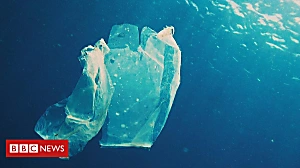 How plastic bags were supposed to help the planet
