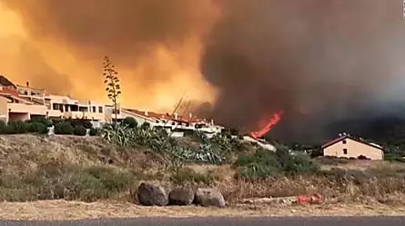 Incendios forestales en Europa dejan daños severos