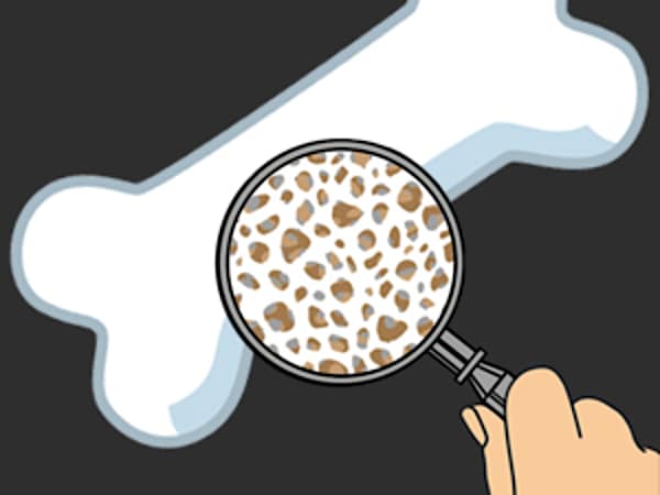 6ヶ月で骨密度が増加！科学的に証明された注目の成分とは