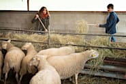 Fanny Agostini, de retour à la « terre ferme »