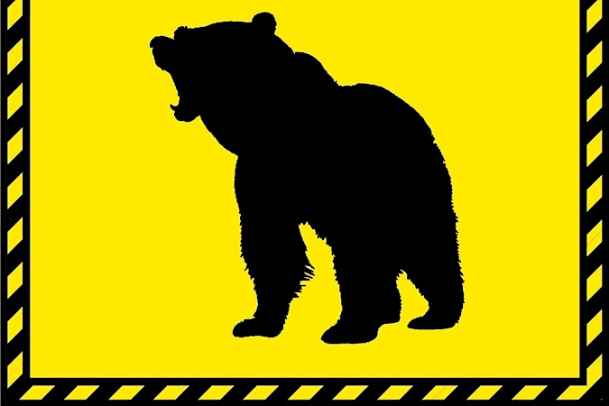 北海道、ヒグマがニワトリ襲う　函館ではニンジン食害