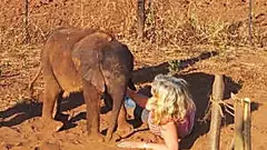 [Photos] Baby Elephant Cast Aside by His Herd, Decided To Spend His Last Days Alongside This Creature
