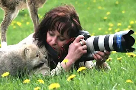 [Gallery] Adorably Ferocious Beast Sneaks Up On Photographer