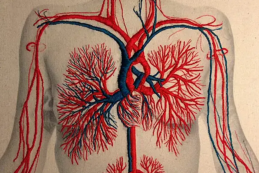 This Can Lower Blood Pressure In Minutes! (Watch)